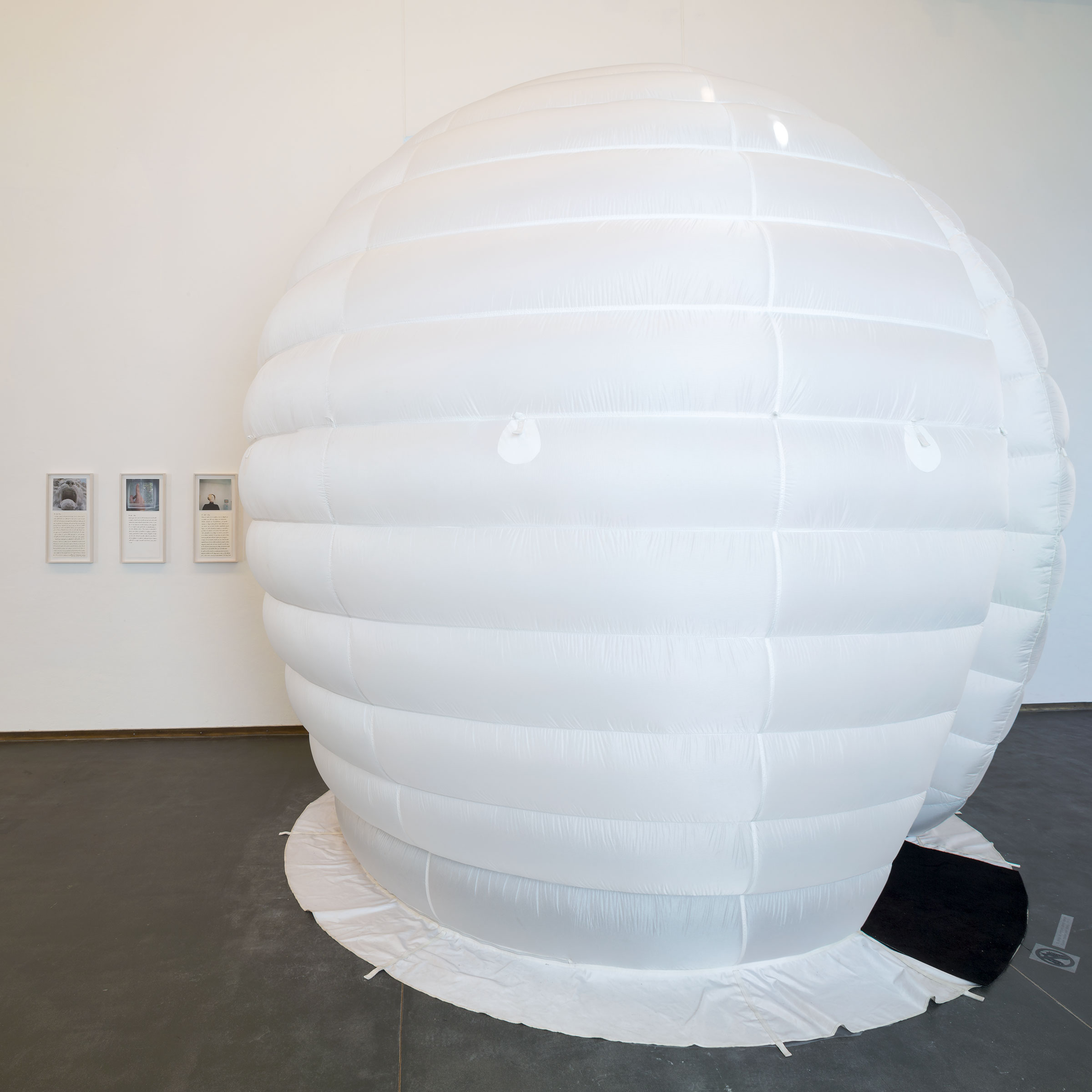 Eva Frapiccini, Dreamsu0027 Time Capsule, 2011-16
